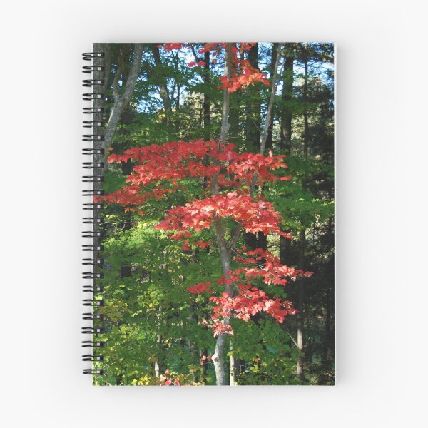 Item preview, Red Leaves designed and sold by Anne Smyth.