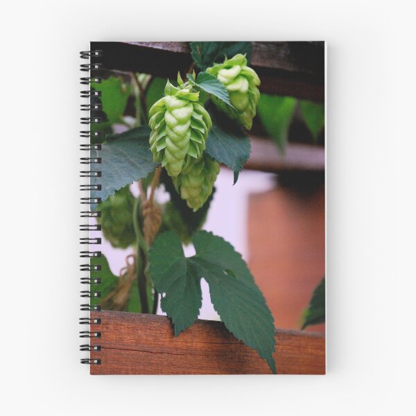 Item preview, Hops designed and sold by Pamela Hubbard.