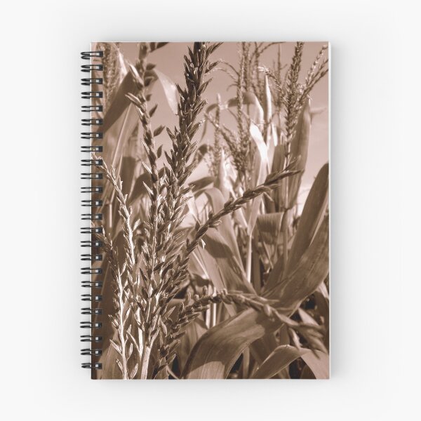 Artikelvorschau, Corn Field entworfen und verkauft von DanaMS.