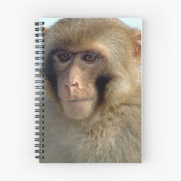 Item preview, Monkey Business designed and sold by ozecard.