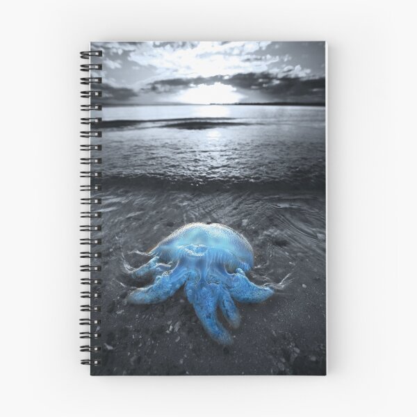Item preview, Cordon Bleu designed and sold by Garry Schlatter.