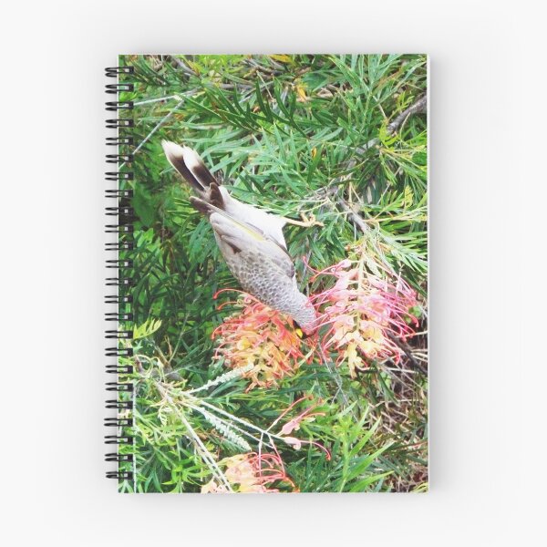 Artikelvorschau, Honey eater entworfen und verkauft von Coloursofnature.