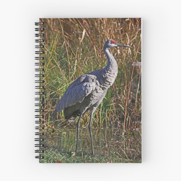 Item preview, Sandhill Crane designed and sold by John Absher.
