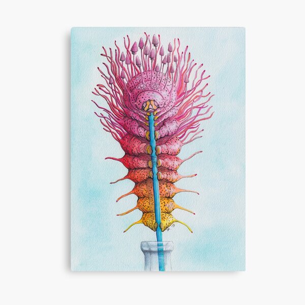 Caterpillar on a Straw Canvas Print
