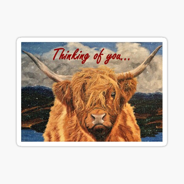Highland Cow in Early Snow - Thinking of You Card Sticker
