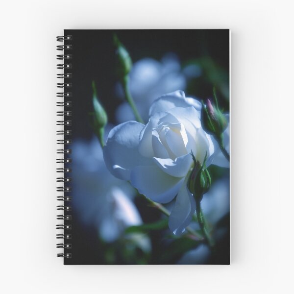 Item preview, Innocence and Purity designed and sold by Pamela Hubbard.