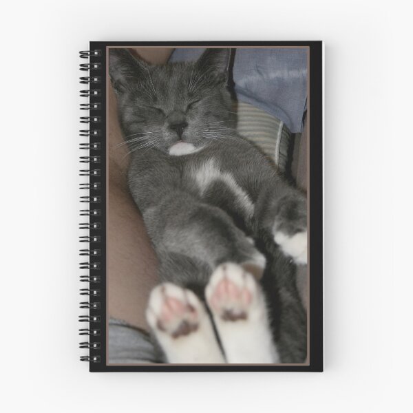 Item preview, Did You Know I am a Cutie? designed and sold by Fern Design.