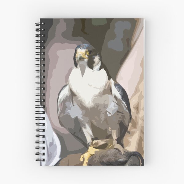 Item preview, Stylized photo of a falcon sitting on leather gloved had of falconer designed and sold by NaturaLight.