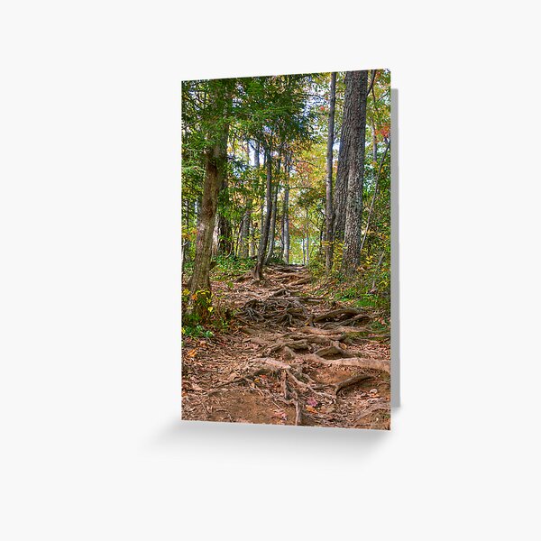 Steps on a Trail Greeting Card