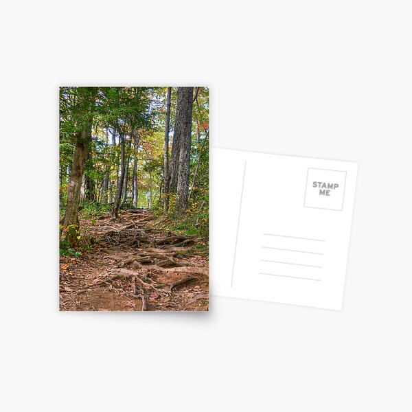 Steps on a Trail Postcard