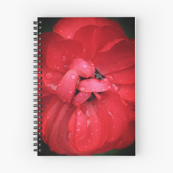 Item preview, Hiding beauty. designed and sold by Steve Chapple.