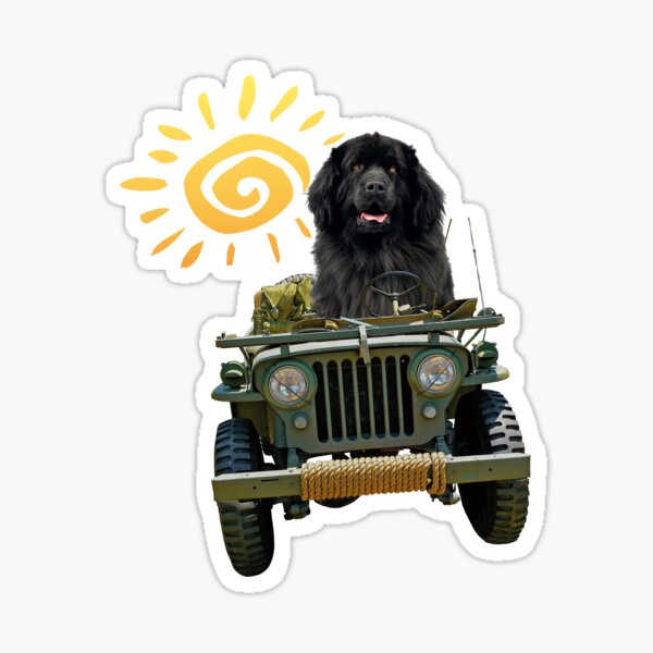 Black Newfie Driving Jeep Sticker
