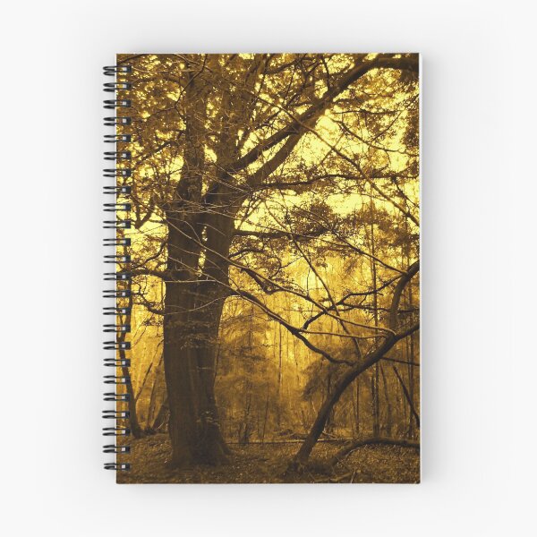 Item preview, DANBURY WOODS IN SEPIA designed and sold by ANNETTE HAGGER.