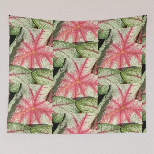 Item preview, White, Pink, Green Caladiums designed and sold by 2CrabbySisters.