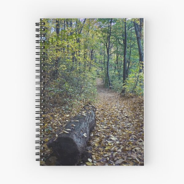 Item preview, A Walk in the Woods designed and sold by Ann Rodriquez.
