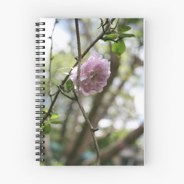Item preview, pale pink climbing rose designed and sold by MoonSend.