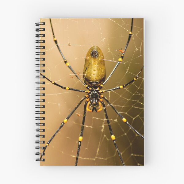 Item preview, Spider & Babies. designed and sold by trevorb.
