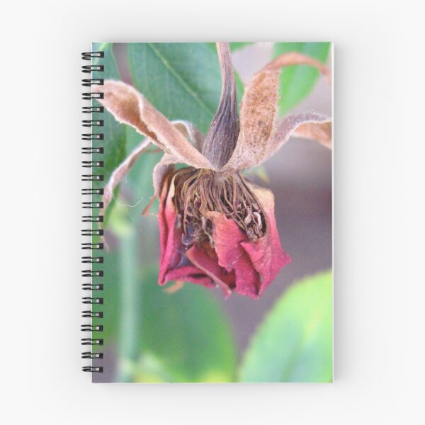 Item preview, Wilted flower designed and sold by Francesca Rizzo.
