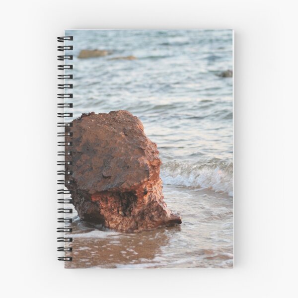 Item preview.