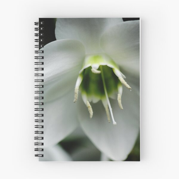 Item preview, Why you designed and sold by DavidROMAN.