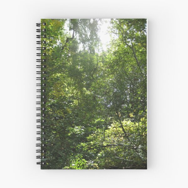 Aperçu de l'œuvre Nature créée et vendue par dabak.