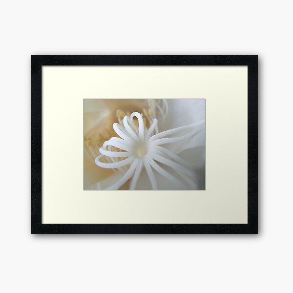 Aperçu de l'œuvre moonflower IV créée et vendue par Floralynne.