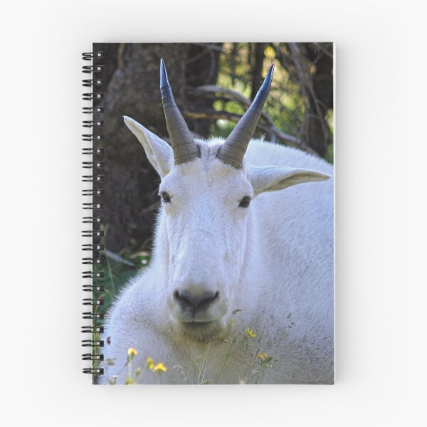 Item preview, Billie Goat Gruff designed and sold by Buzzimage.
