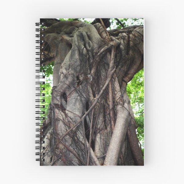 Item preview, Chinese Banyan, Hong Kong designed and sold by Alisdair Gurney.