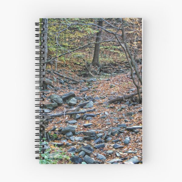 Item preview, Creek bed designed and sold by GPMPhotography.