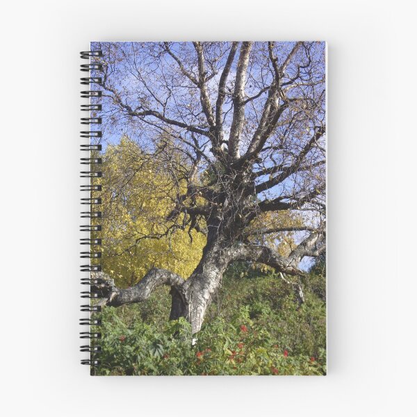 Item preview, Walking in Kinkaid Park designed and sold by Francine Dufour Jones.