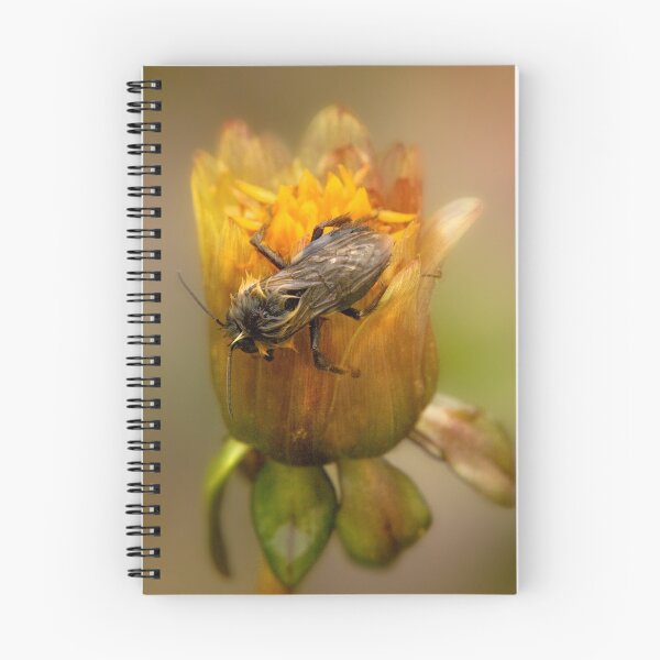 Item preview, Dare to BEE Different designed and sold by Mike Savad Photography.