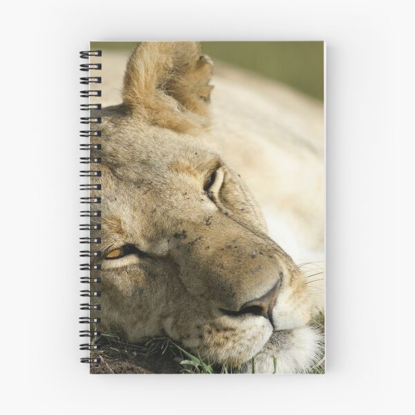 Item preview, Lion designed and sold by Yves Roumazeilles (Wild Focus).