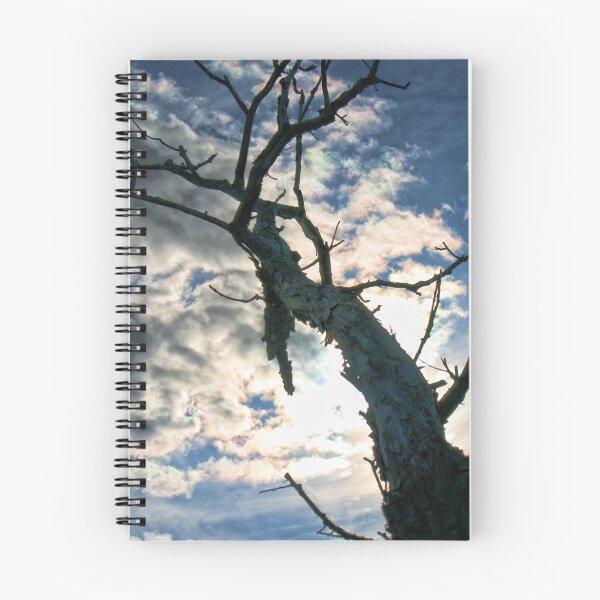 Item preview, Dead tree designed and sold by GPMPhotography.