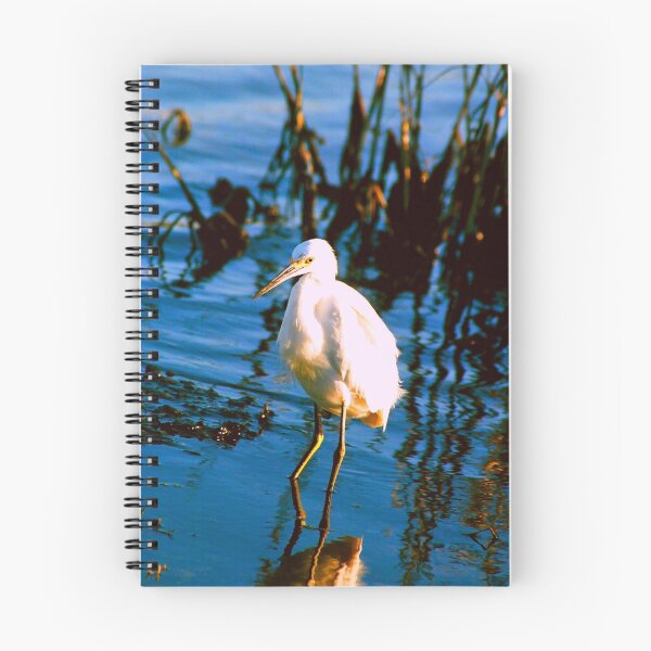 Item preview, Great Egret Delight designed and sold by Nancy Stafford.