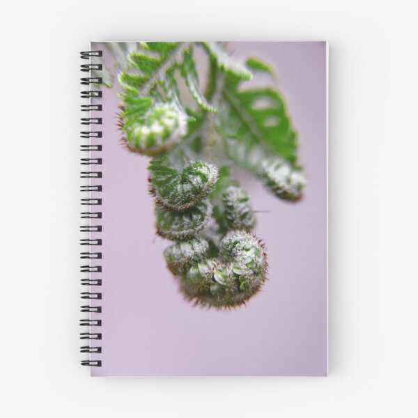 Aperçu de l'œuvre Tree Fern créée et vendue par Beth A.