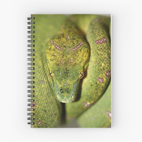 Item preview, Green Python - Colour change designed and sold by Steve Bullock.