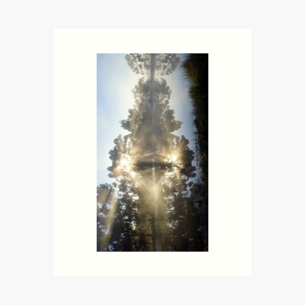 Item preview, A Little ray of Sunshine - Magpie Springs - Adelaide Hills Wine Region - Fleurieu Peninsula - South Australia designed and sold by MagpieSprings.