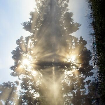Artwork thumbnail, A Little ray of Sunshine - Magpie Springs - Adelaide Hills Wine Region - Fleurieu Peninsula - South Australia by MagpieSprings