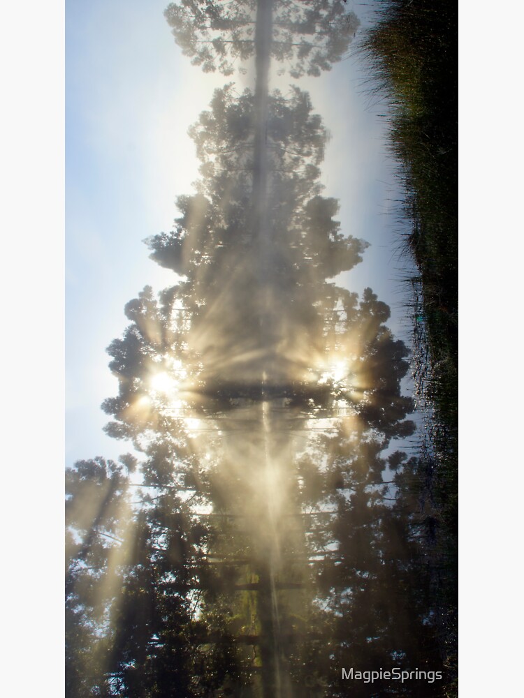 Thumbnail 3 of 3, Sticker, A Little ray of Sunshine - Magpie Springs - Adelaide Hills Wine Region - Fleurieu Peninsula - South Australia designed and sold by MagpieSprings.