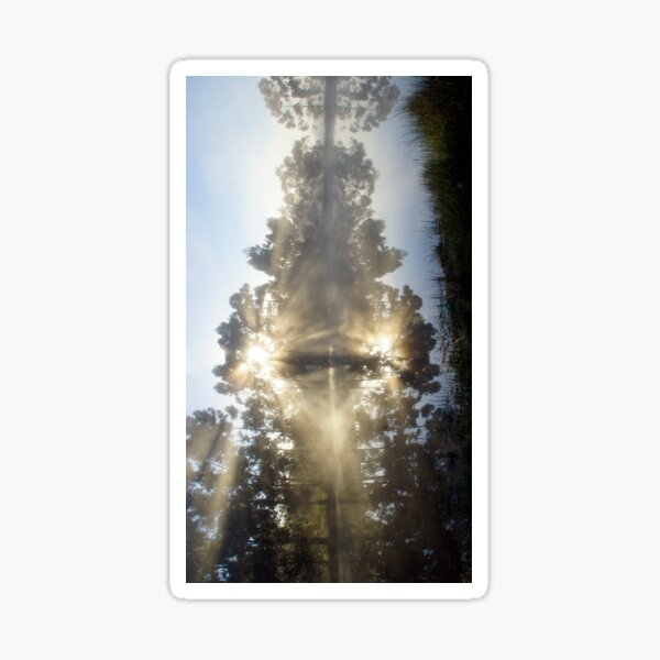 Item preview, A Little ray of Sunshine - Magpie Springs - Adelaide Hills Wine Region - Fleurieu Peninsula - South Australia designed and sold by MagpieSprings.