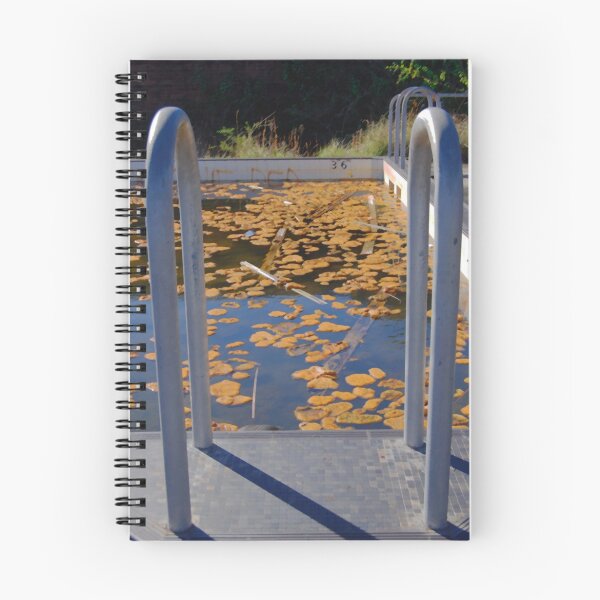 Item preview, Abandoned Pool - Morisset Asylum NSW designed and sold by Bev Woodman.