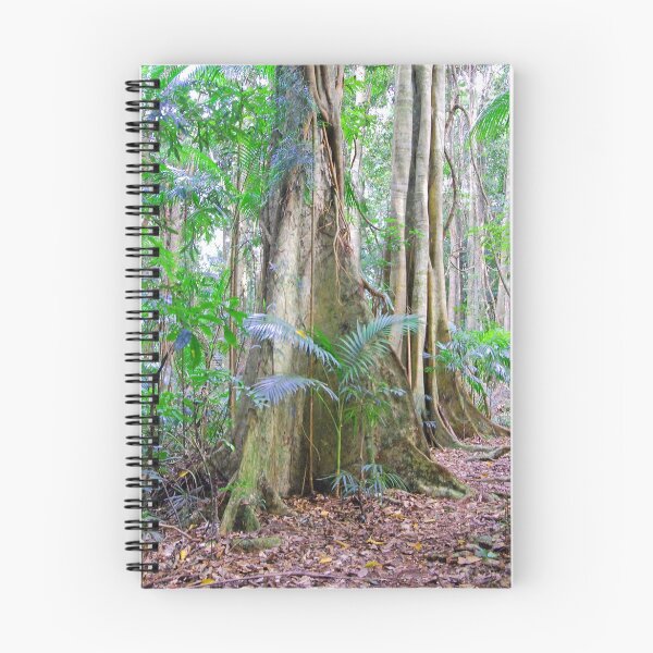 Item preview, Strangler Fig, Bruxner Park Flora Reserve, Coffs Harbour, NSW, Australia designed and sold by Adrian Paul.