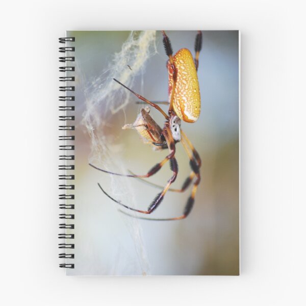 Item preview, Golden Silk Spider designed and sold by Freese.