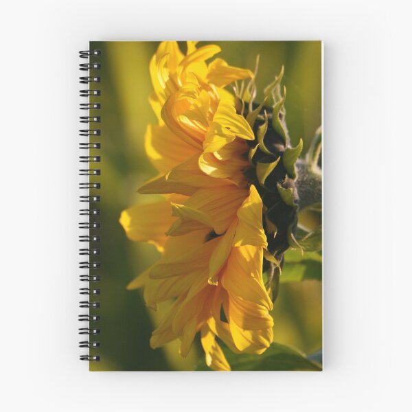 Item preview, Sunflower designed and sold by dipperdoo.