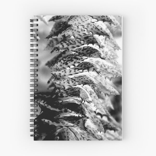 Item preview, Bandwidth designed and sold by Fiona Mulholland.