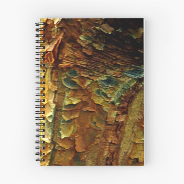 Aperçu de l'œuvre Scales of Bark créée et vendue par Trevor Kersley.