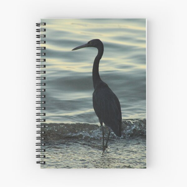 Item preview, Egret at Doctor's Gully designed and sold by BonnieH.