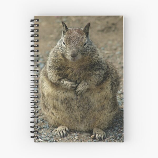 Item preview, Big Fat Mama designed and sold by Anne-Marie Bokslag.