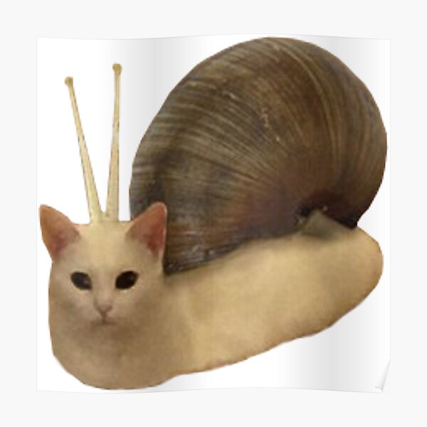 "Cat Snail" Poster for Sale by BoomerUSA | Redbubble