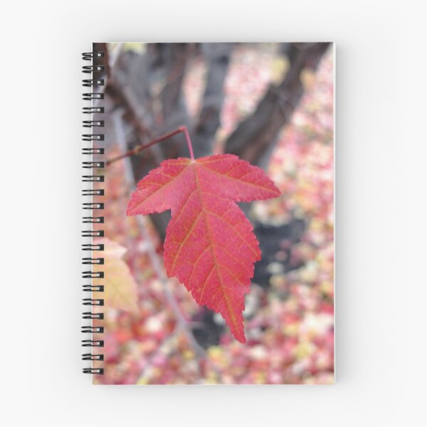 Item preview, Maple Leaf designed and sold by kenspics.